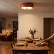 Nordic Retro Ceiling Light