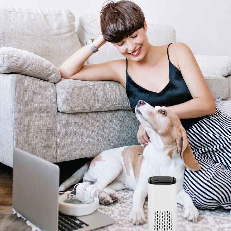 Pet Air Purifier: Fresher Air, Fewer Odors at Home