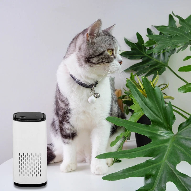 Pet Air Purifier: Fresher Air, Fewer Odors at Home