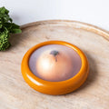 Fruit & Vegetable Storage Box: Fresher Produce, Less Waste