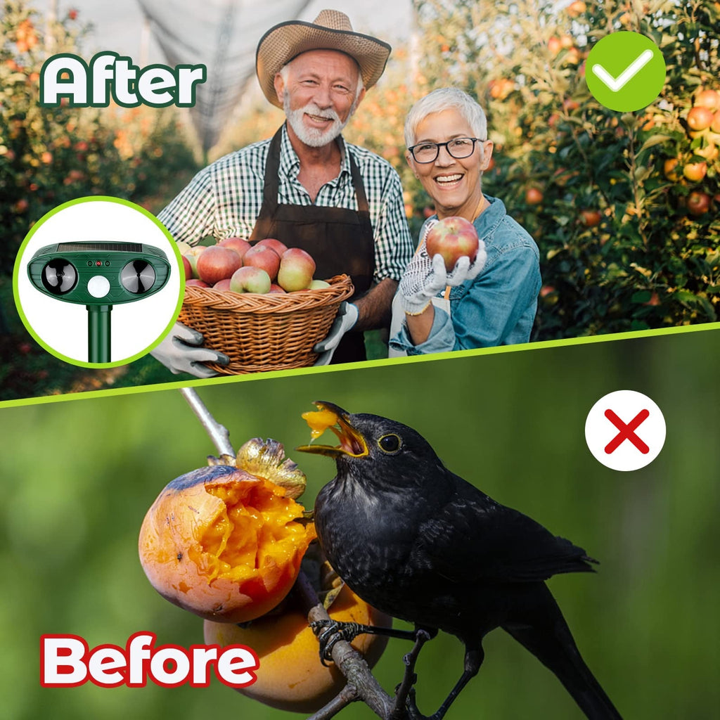 Ultrasonic Woodpecker Repellent: Protect Your Home, Humanely