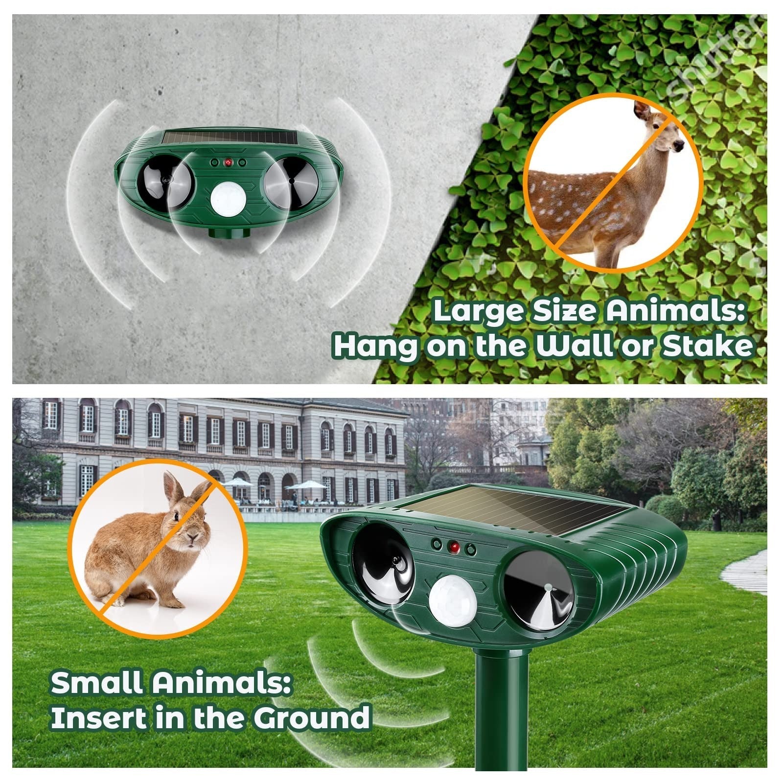 Ultrasonic Woodpecker Repellent: Protect Your Home, Humanely
