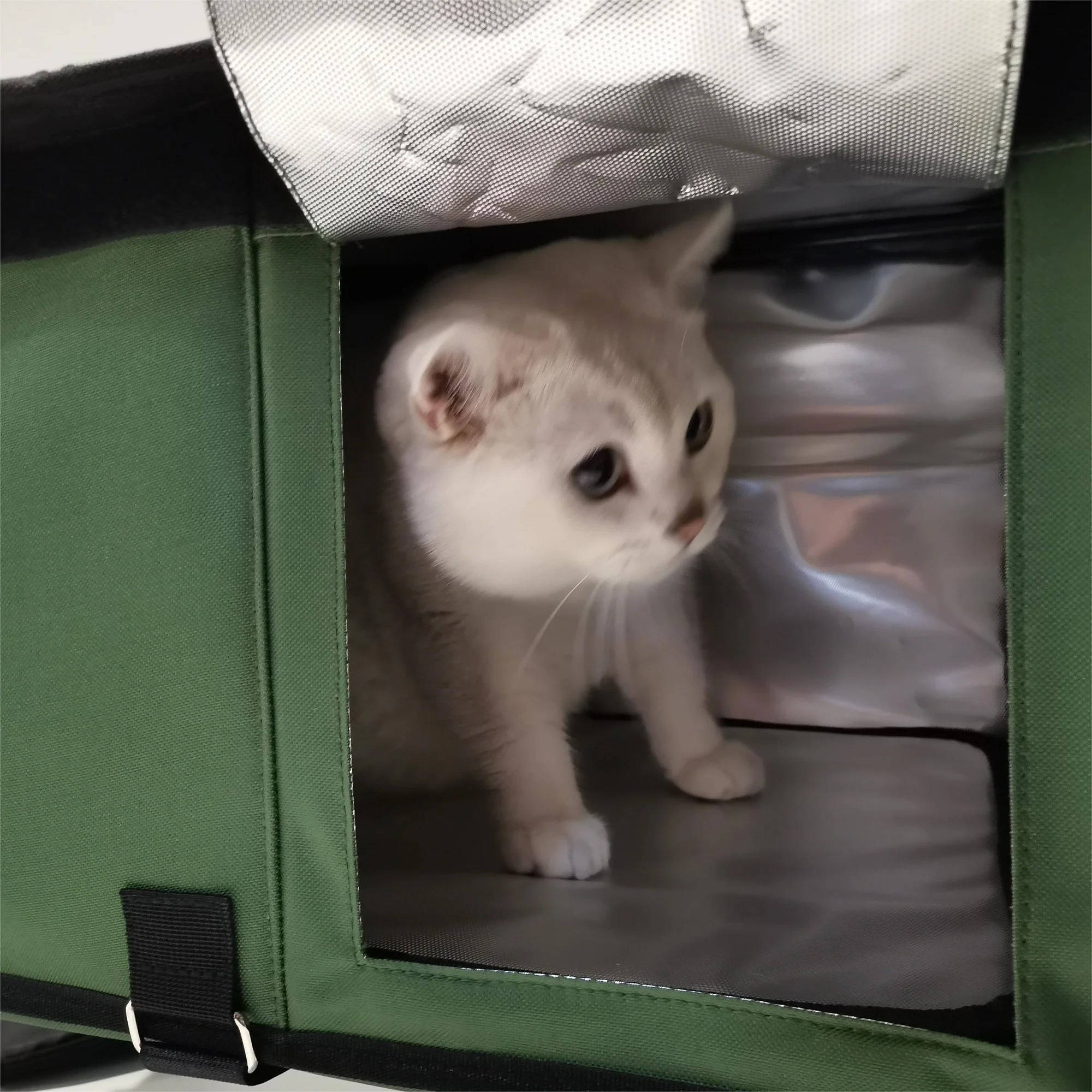 Heated Outdoor Cat House: Winter Shelter That Keeps Cats Warm