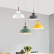 Modern Single Pendant Dome Light