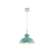 Modern Single Pendant Dome Light