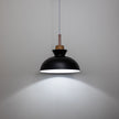Modern Single Pendant Dome Light