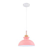 Modern Single Pendant Dome Light