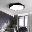 Skydor Ceiling Light